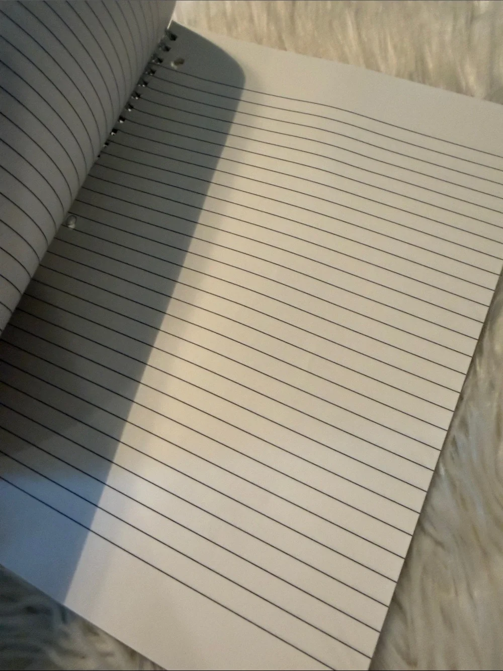 Bratz Spiral Notebook